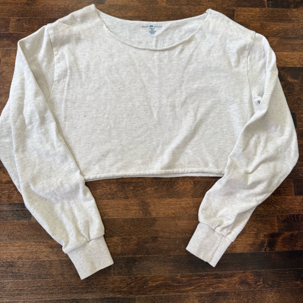 Brandy Melville Gray Crop Top